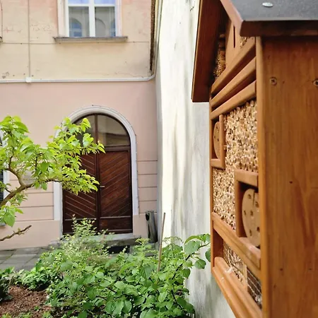 Brokilon House * Krakow