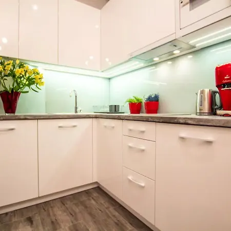 Apartment 1-bedroom - Kazimierz- Starowislna 54