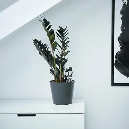 Appartement Unique Design Loft In Middle Of Centre Of Old Town With Netflix