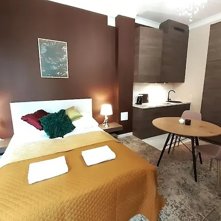 Luxury - Rakowicka 6 *