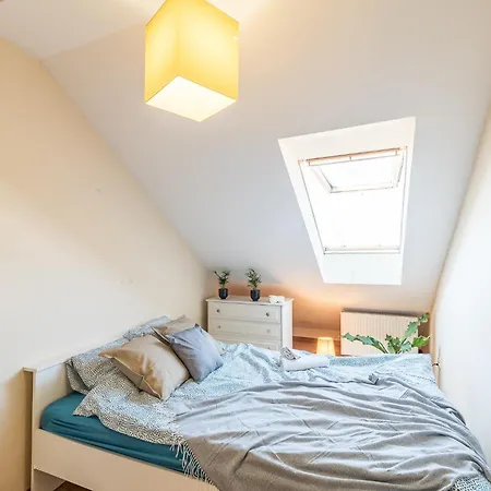 Cozy Place