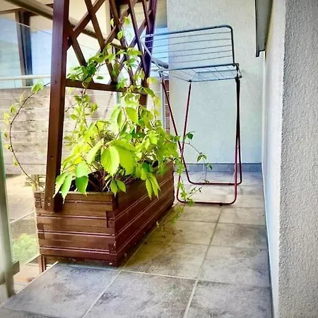 Grzegorzecka Centrum Apartment Krakow