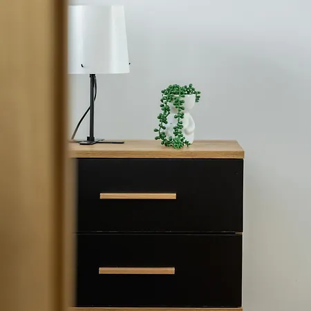 Apartment Nowoczesny W Krakowie Z Klimatyzacja I Parkingiem By Renters *