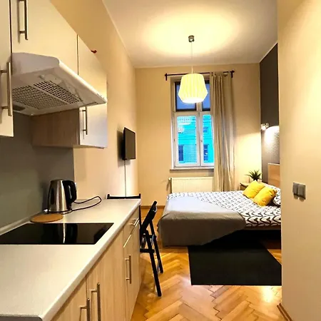 Apartment In Center *