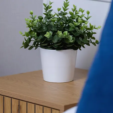Klimatyzowane W Centrum Krakowa Z Parkingiem I Biurkiem By Renters Prestige *
