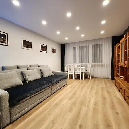 Grey Apartment Krakow