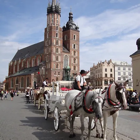 Grey * Krakow