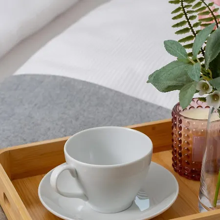 Appartement Modern And Bright With Air Conditioning & Parking By Renters *