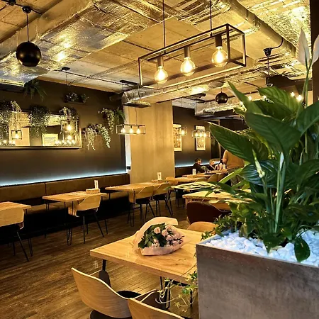 Great Polonia Kazimierz 3*