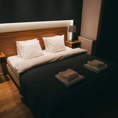 Grey Kołowa Apartament