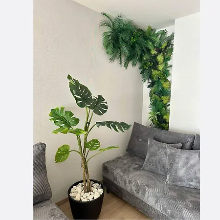 Jungle *