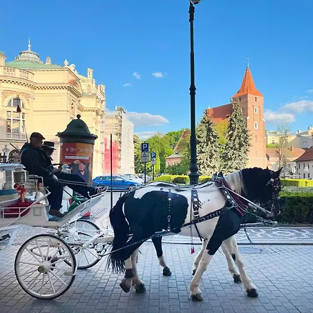 With Separate Bedroom In The Heart Of Krakow, Market Square Apartament