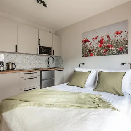 Apartamento Iron Cracovia