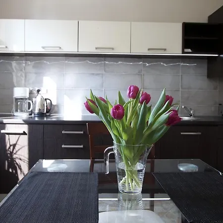 Apartment Splendor Krakow