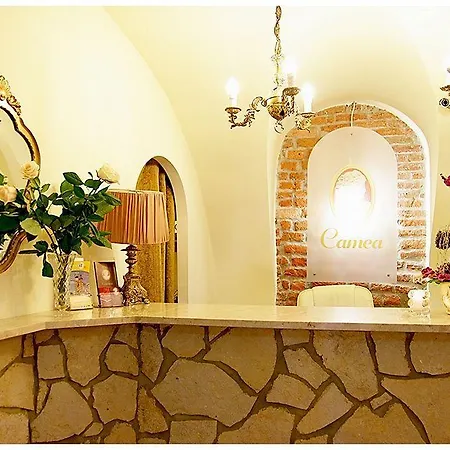 Camea 3*