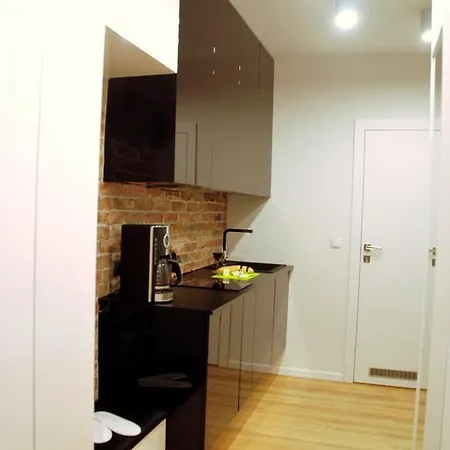 Apartment Old Town, Loft Style Krakow
