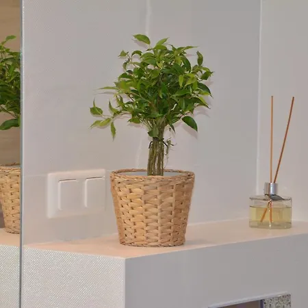 Apartment Browar Lubicz Stare *