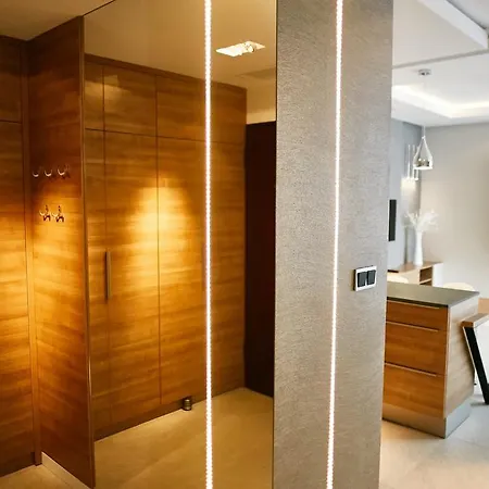 Modern Apartment By Wawel Castle Krakow