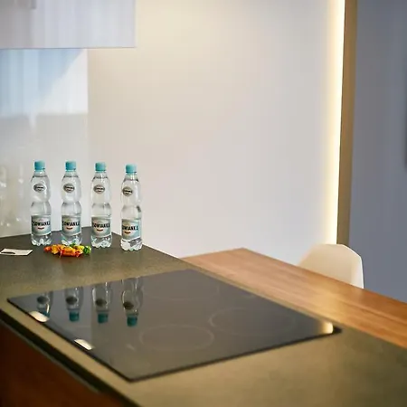 Modern Apartment By Wawel Castle