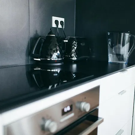 Grey Kołowa Apartament Kraków