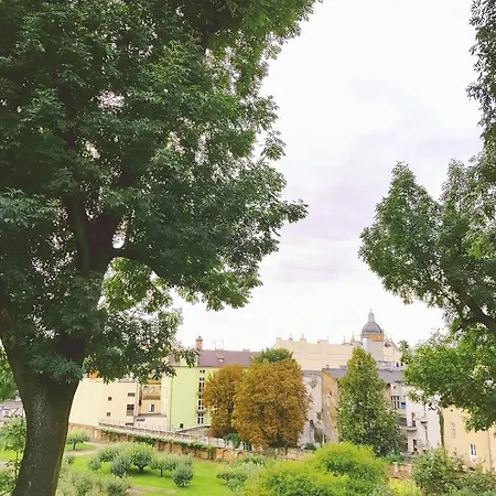 Hostel Shishkin Art