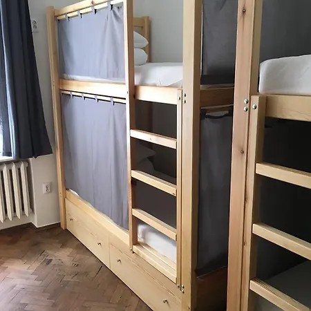 Hostel Bison