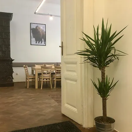 Bison Hostel Krakow