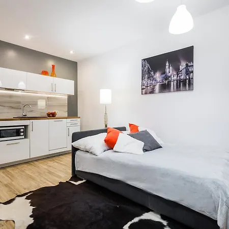 Apartment Bosacka Wawelofts *