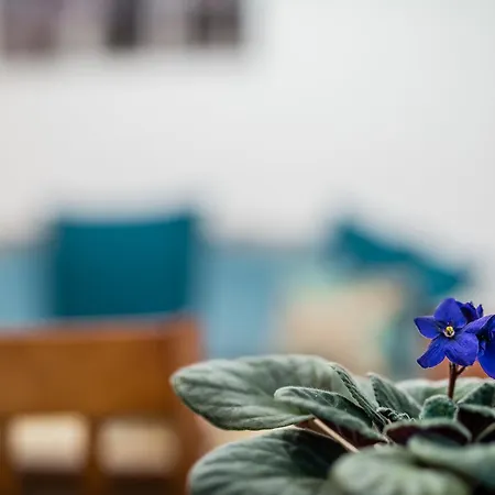 Apartment Bosacka Wawelofts Krakow