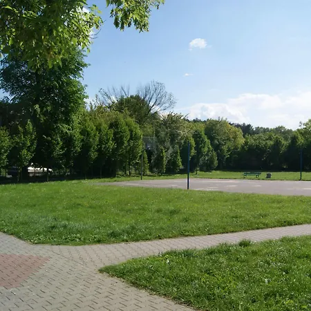 Petrus 3*
