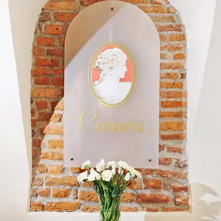Aparthotel Camea