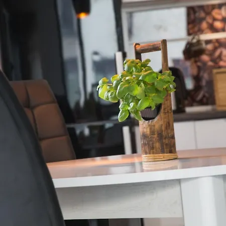 Apartament Skowronia Apartment Krakow