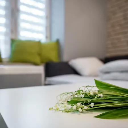 Apartment Krowoderska Wawelofts
