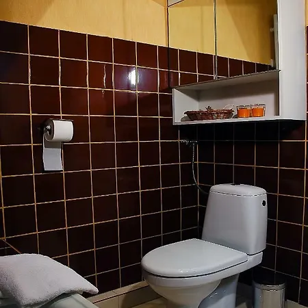 Spacious In The Heart Of * Krakow