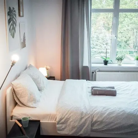 Lion - Silver Homestay Krakow