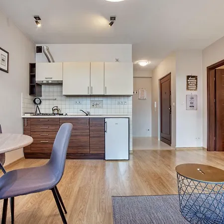 Trendy Kochanowskiego Street Apartment Krakow