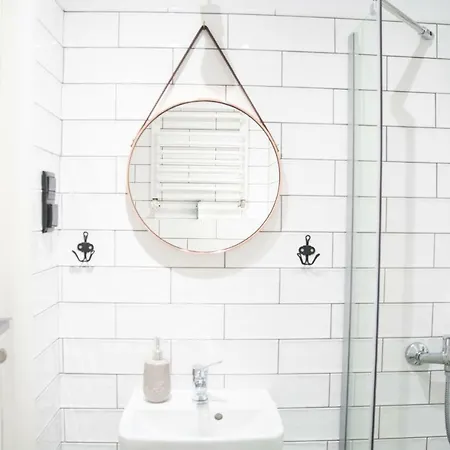 Lion - Silver Homestay Krakow
