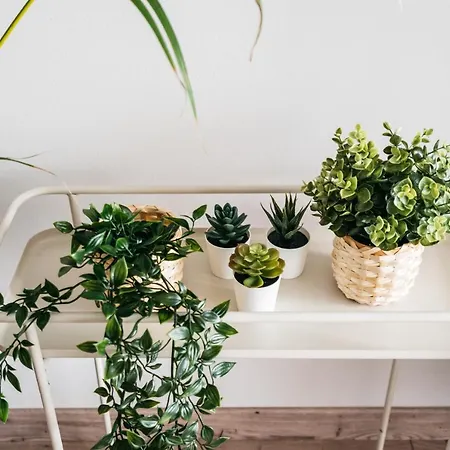 Garden - Loftaffair Apartamento