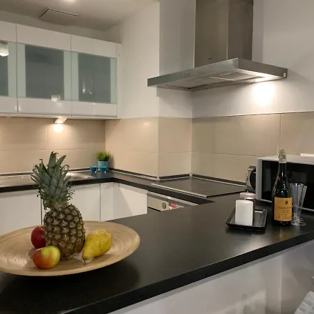 Apartment Vikamo Luxury By Wawel Castle Krakow