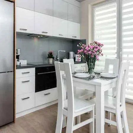 Apartment Platinia Krakow