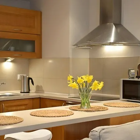 La Gioia Designer's Lofts Luxury * Kraków