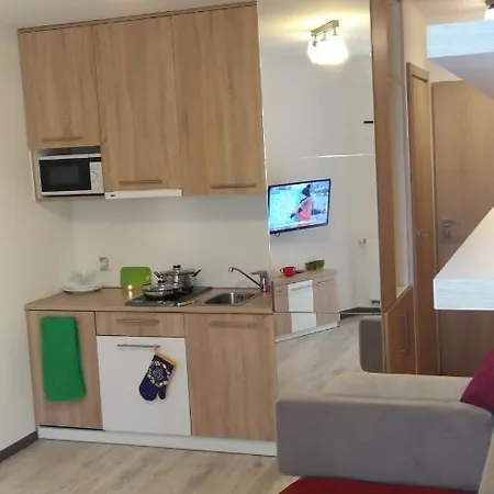 Apartament Pszczelna Apartment