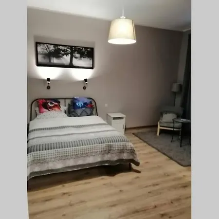 Sophus Respite. Samo Centrum Krakowa Krakow