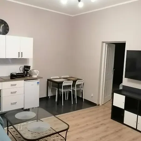 Sophus Respite. Samo Centrum Krakowa Krakov