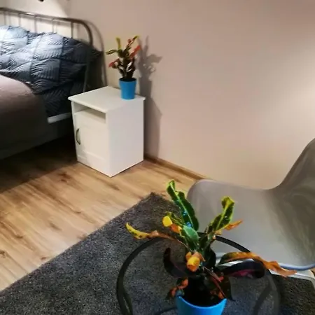 Sophus Respite. Samo Centrum Krakowa Krakow