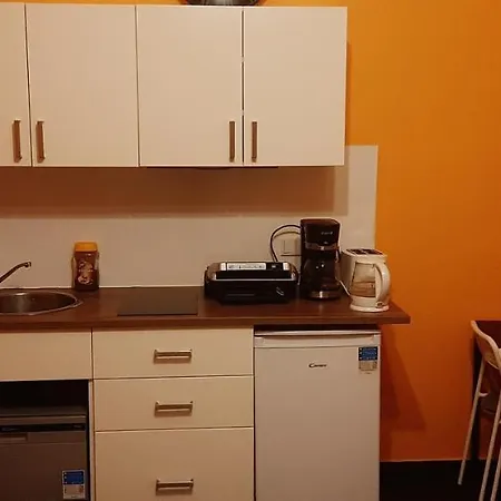 Sophus Respite. Samo Centrum Krakowa Krakow