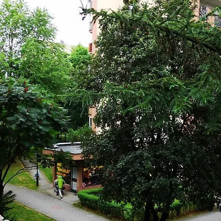 Goscinne Homestay