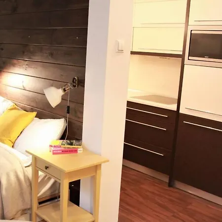 Kopernika 8'1 - Market Square & Old Town Apartment Krakow
