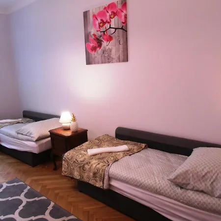 Orchidea Krakow