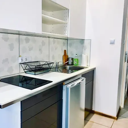 W Centrum :) Apartment